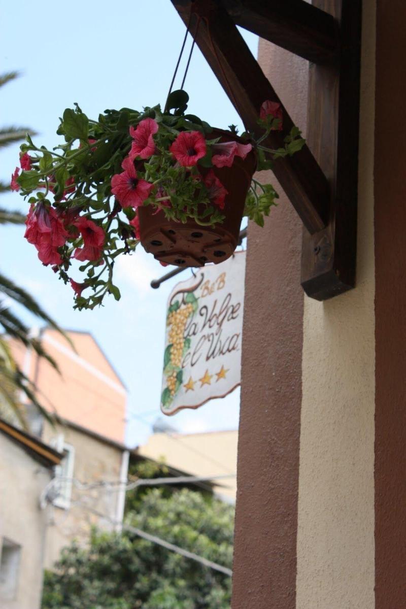 بياتْسا أرمارِنا La Volpe E L'Uva B&B المظهر الخارجي الصورة