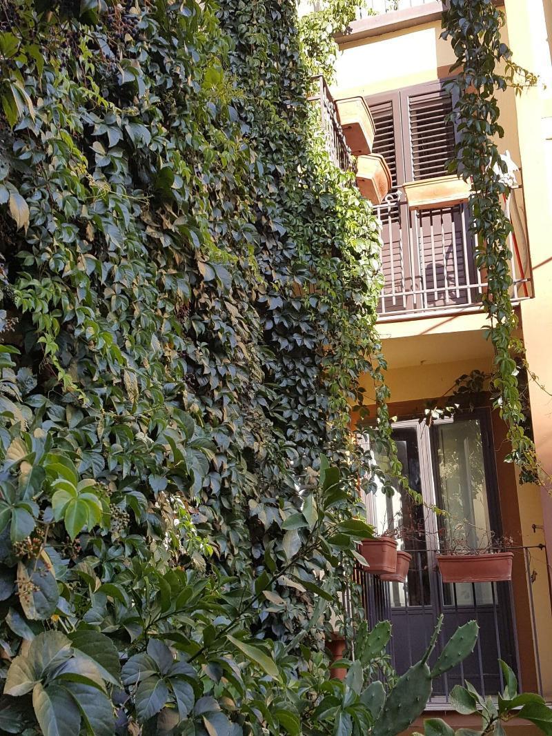 بياتْسا أرمارِنا La Volpe E L'Uva B&B المظهر الخارجي الصورة