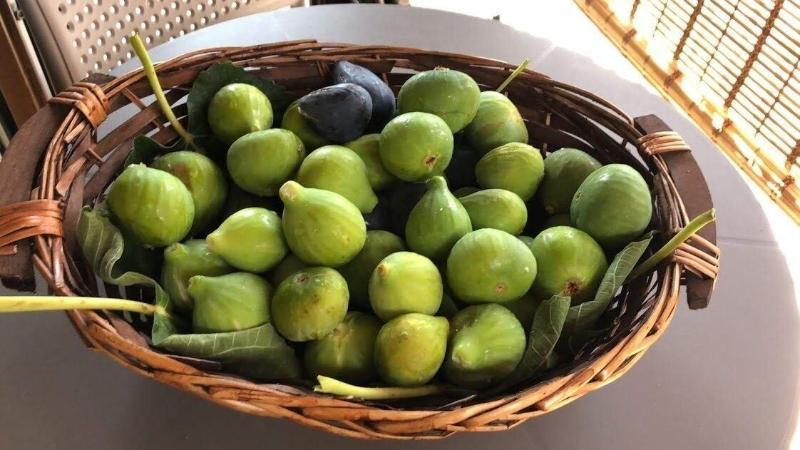 بياتْسا أرمارِنا La Volpe E L'Uva B&B المظهر الخارجي الصورة
